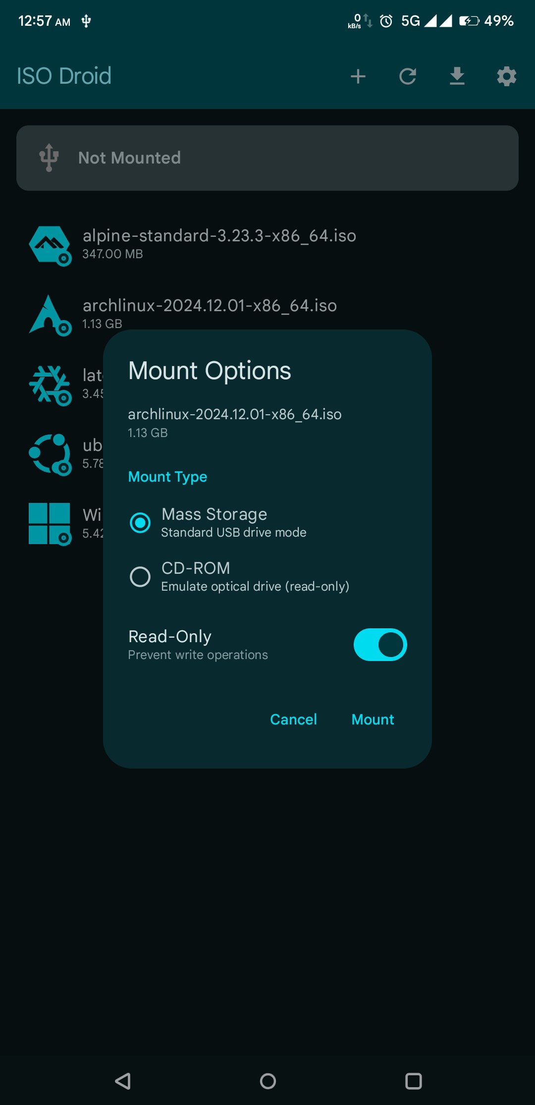 Mount Options