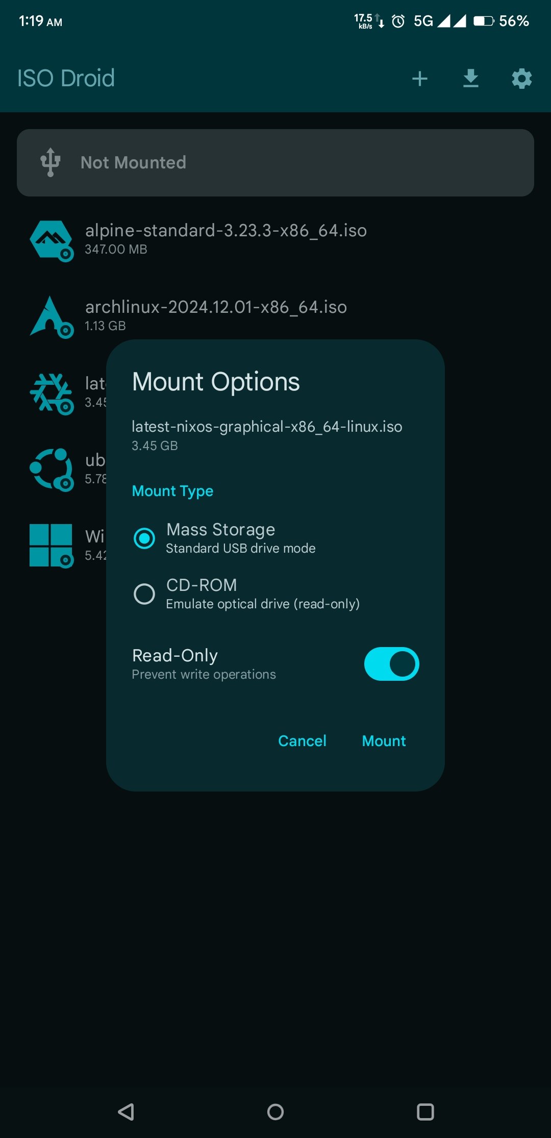 Mount Options